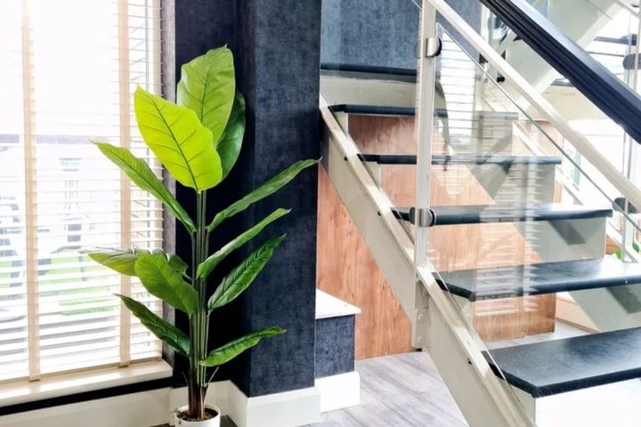 Cork Street, Dublin 8, The Coombe, Dublin 8