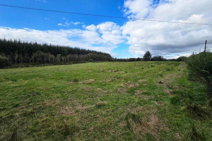 Ballydineen, Lissycasey, Ennis, Co. Clare
