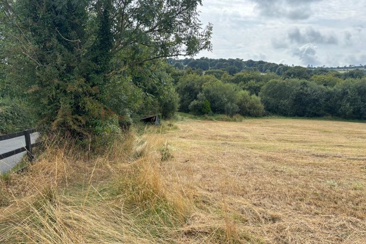 Land at Annagh Middle, Gorey, County Wexford