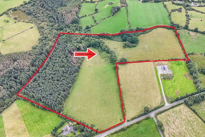Prime Land at Ballyhegan, Graiguenamanagh, Kilkenny, Co. Kilkenny