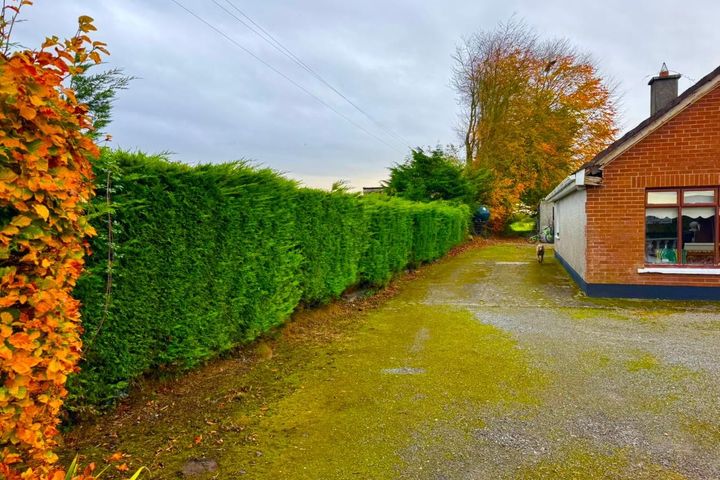 Cloncurry Cross, Enfield,Co. Meath/Kildare, Johnstown Bridge, Co. Kildare