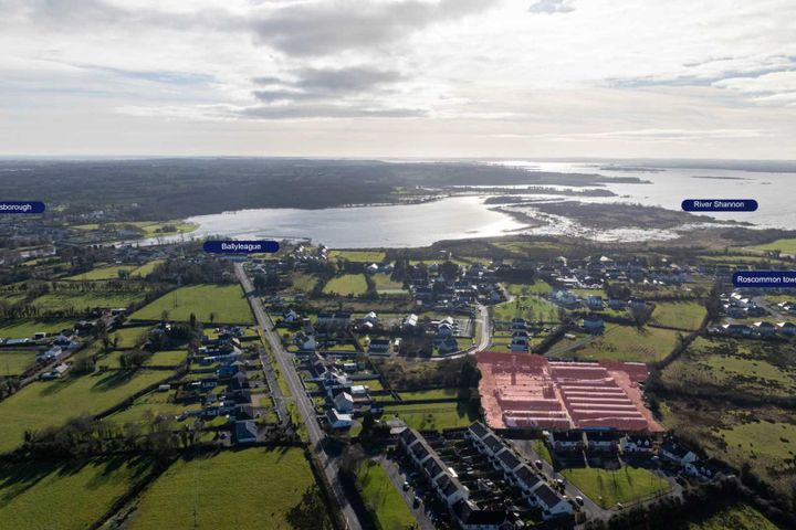 Ballyleague, Lanesborough, Co. Roscommon, N39F592