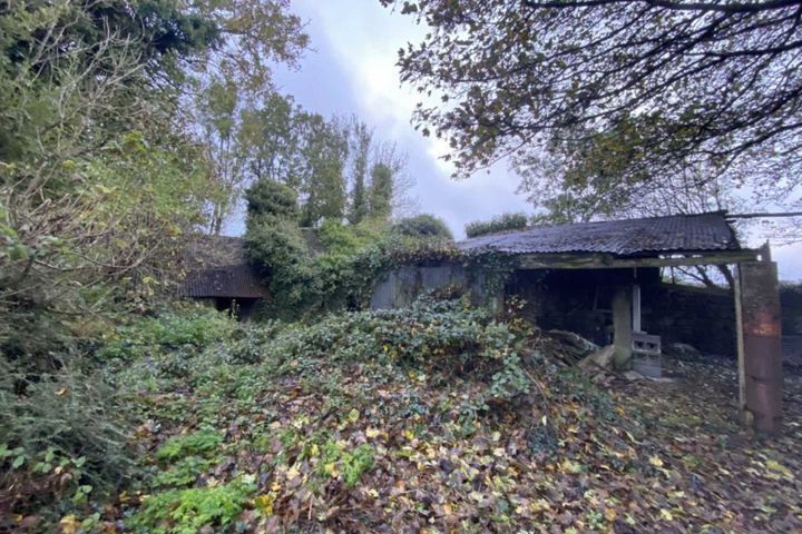 Ballysallagh (Derelict Res. & C. 3 Acres), Hacketstown, Co. Carlow
