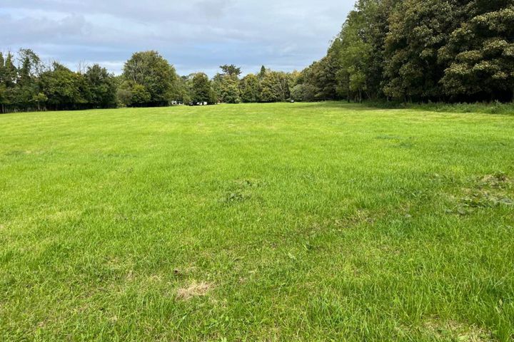 Dunsandle, Athenry, Co. Galway