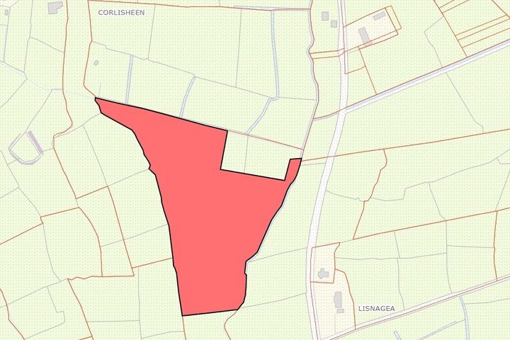Cornagillagh Land, Cornagillagh, Drumsna, Carrick-on-Shannon, Co. Leitrim, N41P8D9