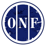 O'Neill & Flanagan logo