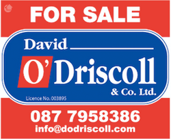 David O’ Driscoll & Co Ltd