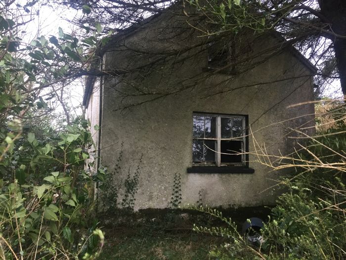 Glencollins Lower, Ballydesmond, Co. Cork Property.ie