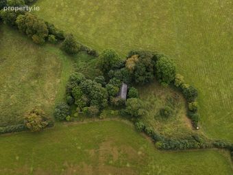 C. 68 Acres At Waltons Grove, Mount Juliet, Thomastown, Co. Kilkenny - Image 5