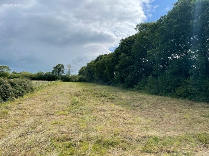 Gortnaglogh, Firies, Co. Kerry Property.ie