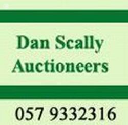 Dan Scally Auctioneers