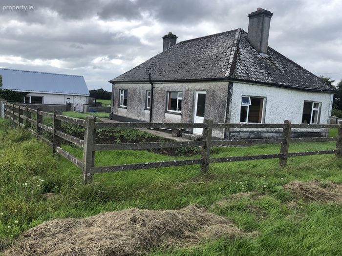 Ballinahown, Athlone, Co. Westmeath Property.ie