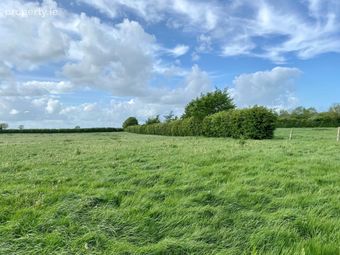 C. 43.4 Acres With Yard At Ardree, Athy, Co. Kildare - Image 2
