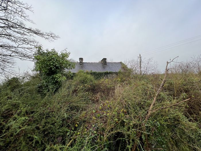 Kiltybo, Ballyhaunis, Co. Mayo Property.ie
