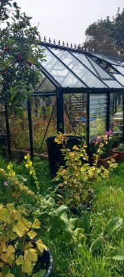 The Moon Shadow,125 Goat Street,Dingle,Tralee,Co. Kerry, Dingle, Co. Kerry