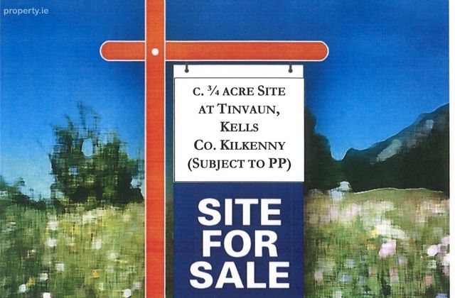 Tinvaun, Kells, Co. Kilkenny - Click to view photos