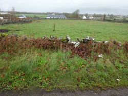 Lydican, Claregalway, Co. Galway - Site For Sale