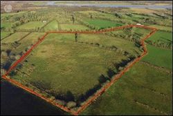 Salmons Lane, Ballyleague, Co. Roscommon - 