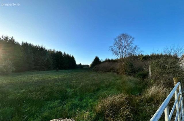 Forestry Land At Mularkane, Kilcummin, Killarney, Co. Kerry - Click to view photos