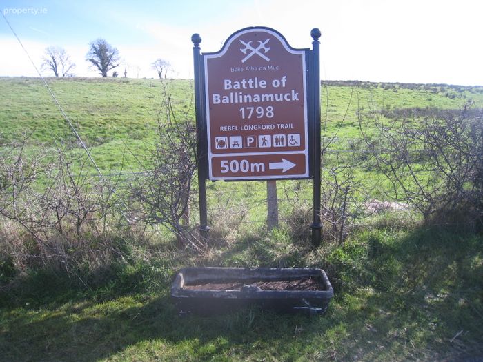 Kiltycreevagh, Ballinamuck, Co. Longford Property.ie