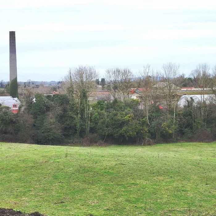 Erry, Clara, Co. Offaly Property.ie