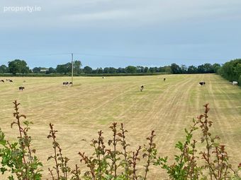 C. 18 Acres, Grangemellon, Athy, Co. Kildare - Image 3