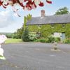 Scarvagh House, 31 Old Mill Road, Scarva, Craigavo, Banbridge, Co. Down - Image 2