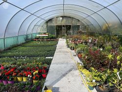 Woodford Garden Centre, Woodford, Co. Galway - 