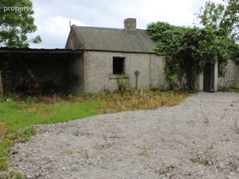 Mountkelly, Rathvilly, Co. Carlow - Image 4
