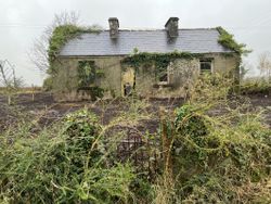 Kiltybo (11 acres), Ballyhaunis, Co. Mayo - Bungalow For Sale