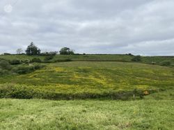 Dehomad, Lissycasey, Co. Clare - 