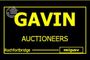Pat Gavin Auctioneer