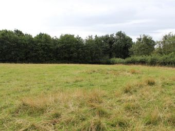 Sites For Sale, Corrie Beg, Bagenalstown, Co. Carlow - Image 3