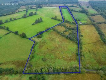 C.8.8 Acres At Aghagad, Castlecoote, Co. Roscommon