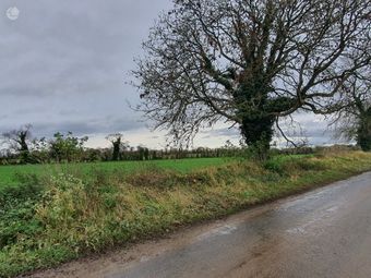 Dowthstown, Wilkinstown, Co. Meath