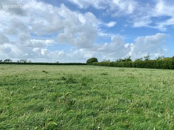 C. 43.4 Acres With Yard At Ardree, Athy, Co. Kildare - Image 3