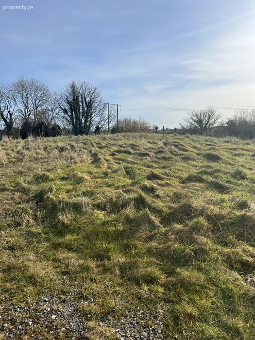 Liss, Kylebrack East, Loughrea, Co. Galway Property.ie