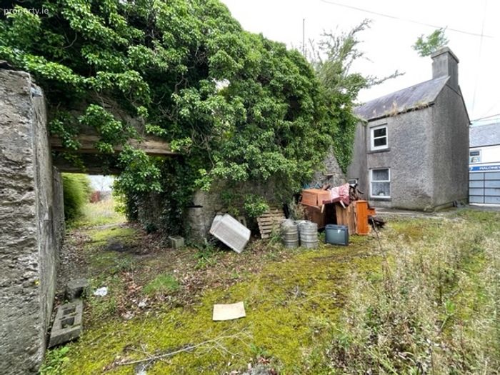 Main Street, Castlerea, Co. Property.ie