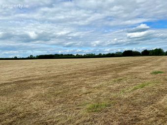 C. 43.4 Acres With Yard At Ardree, Athy, Co. Kildare - Image 4