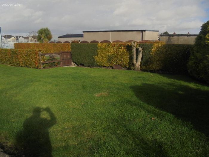 13 Templeowen, Tullow, Co. Carlow Property.ie