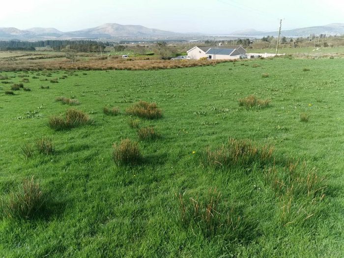 Killoe, Caherciveen, Cahersiveen, Co. Kerry Property.ie