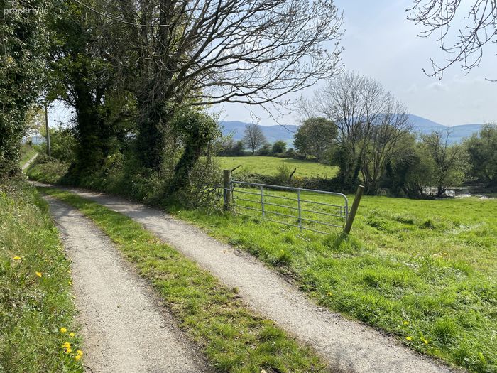 Carrowgar, Ogonnelloe, Co. Clare Property.ie