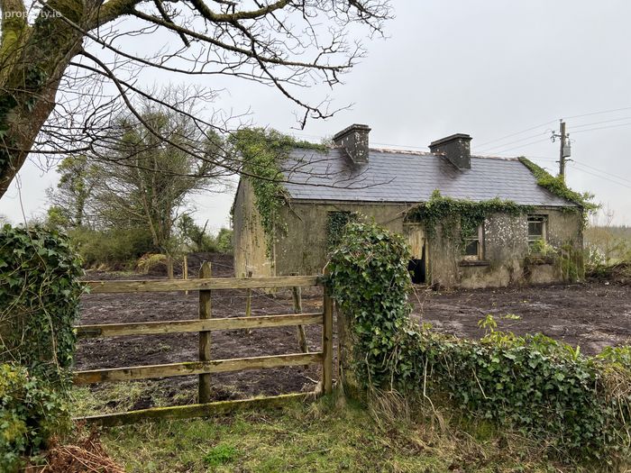 Kiltybo, Ballyhaunis, Co. Mayo Property.ie