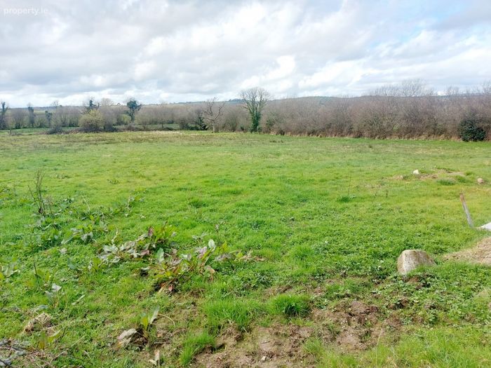 Errina, Clonlara, Co. Clare Property.ie