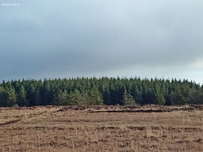 Shragh, Kilrush, Co. Clare Property.ie