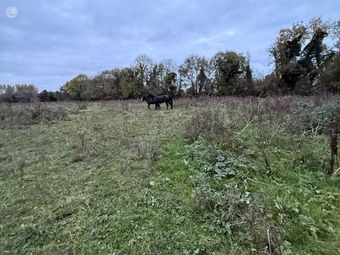 Philipstown Upper, Cushina, Co. Offaly - 