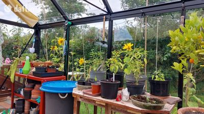 The Moon Shadow,125 Goat Street,Dingle,Tralee,Co. Kerry, Dingle, Co. Kerry