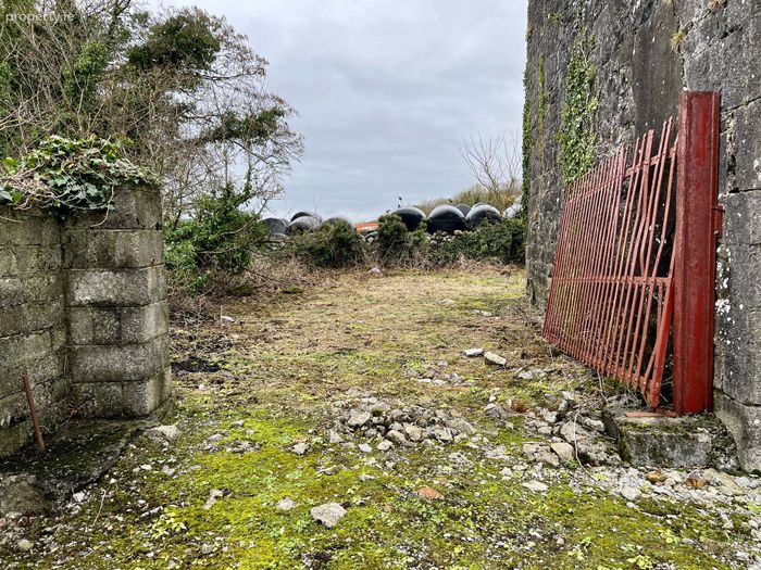 The Granary Dalgan Park, Shrule, Co. Mayo Property.ie