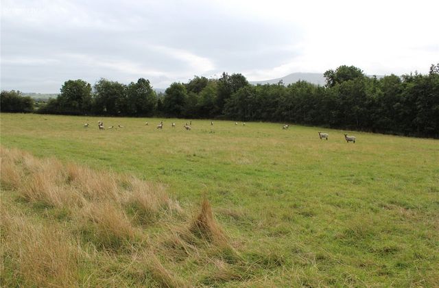 Sites For Sale, Corrie Beg, Bagenalstown, Co. Carlow - Click to view photos