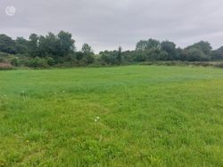 Guileen, Stradbally, Co. Laois - Site For Sale
